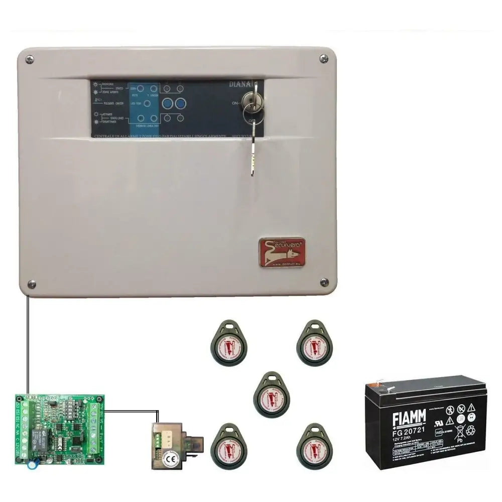 Centrale Antifurto Diana 2 Zone Batteria 12 V 7,2 Ah