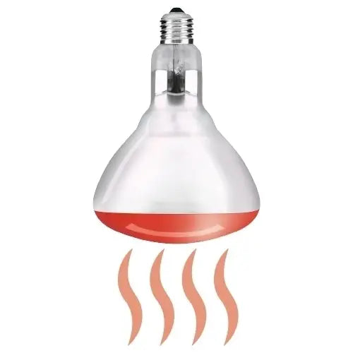 Lampada Ad Infrarossi 150 W Nova Line Irl150 Pack 10 Pz