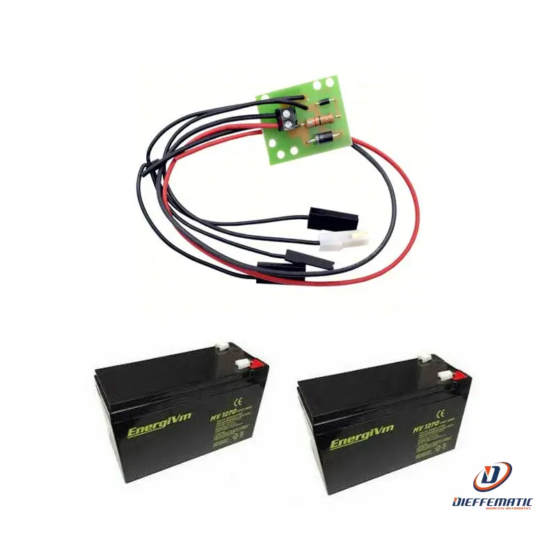 Pacco Batterie Batteria Tampone Per Partic Porte Basculanti
