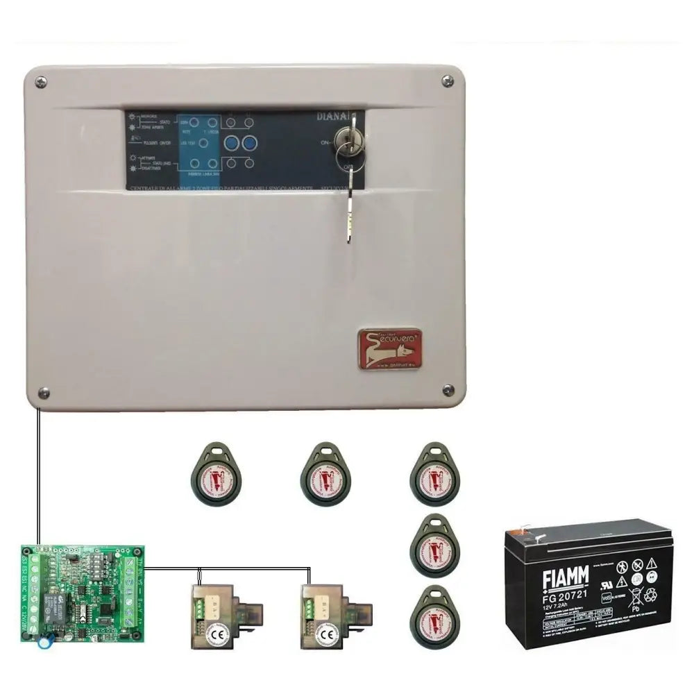 Centrale Allarme Diana 2 Zone Batteria 12 V 7,2 Ah