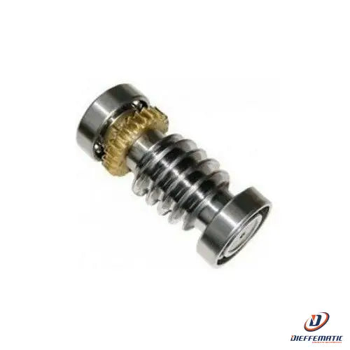 Vite Senza Fine - Frog Came 119Ria016 Automazione